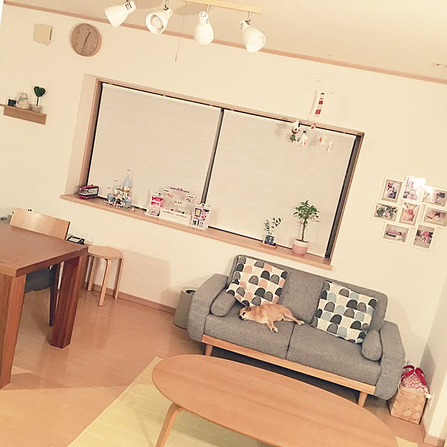 haritakaさんの実例写真