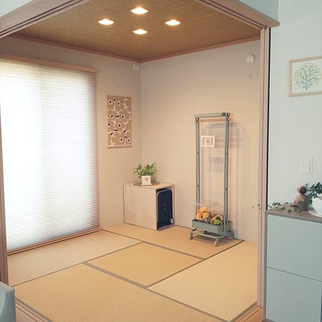tan5さんの実例写真