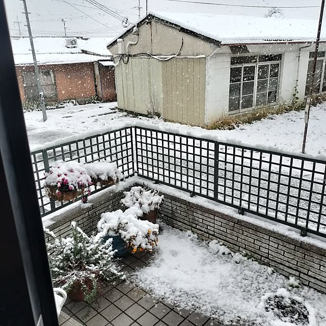 mash-room.aeさんの部屋