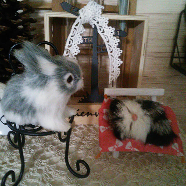 Tomopさんの実例写真