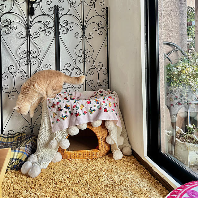 naokoさんの部屋