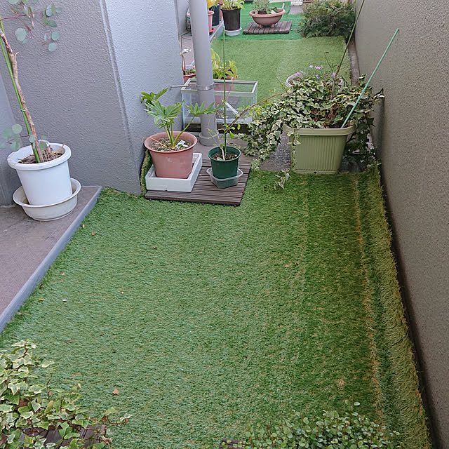 kakkaさんの実例写真