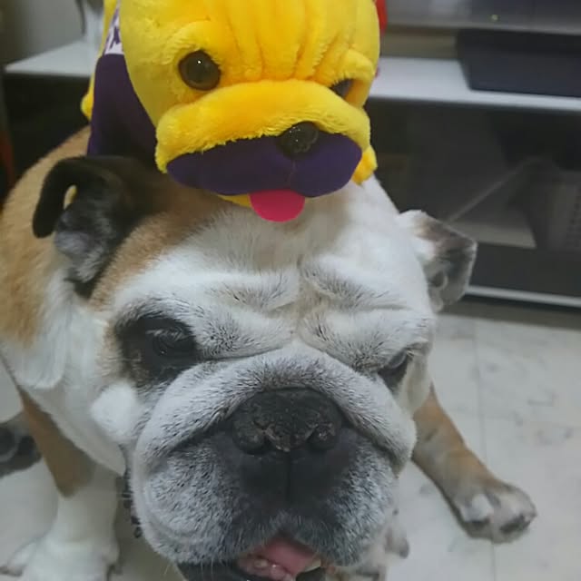 AandPさんの実例写真