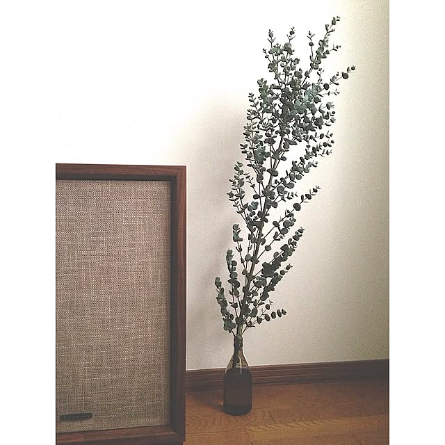 ユーカリ/IG→cotauta/リビングのインテリア実例 - 2015-02-19 17:28:26