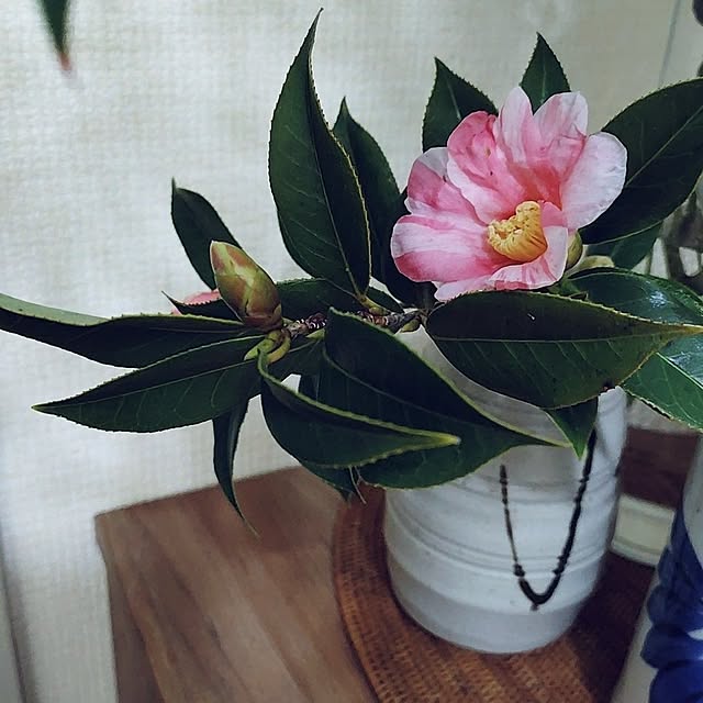 hopkeiさんの実例写真