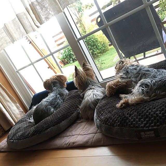 misacoさんの実例写真