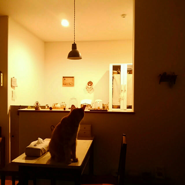mayutan.さんの実例写真