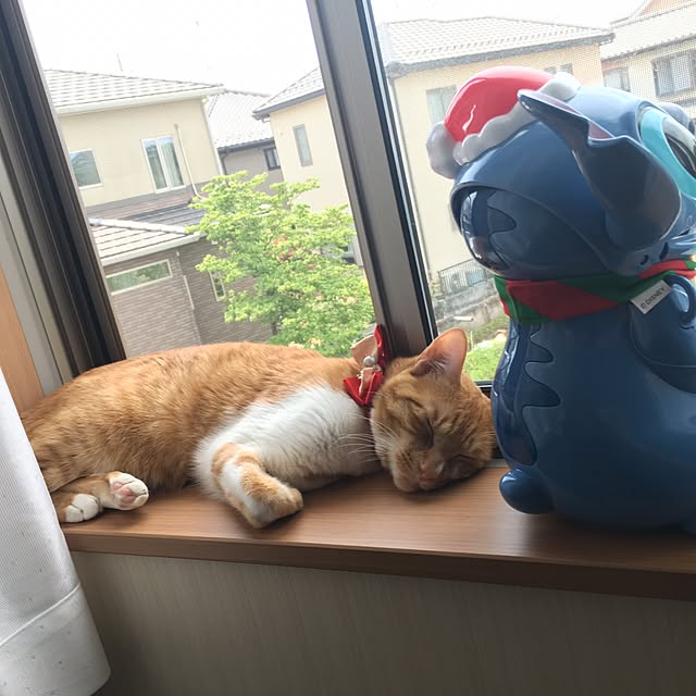t.a.k.a.k.uuumさんの実例写真