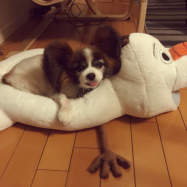 TAKAさんの実例写真