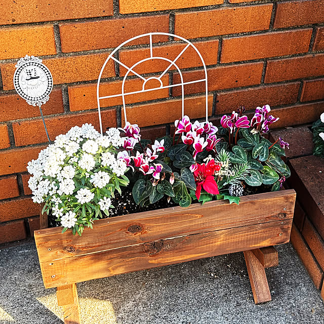 ami2720さんの実例写真