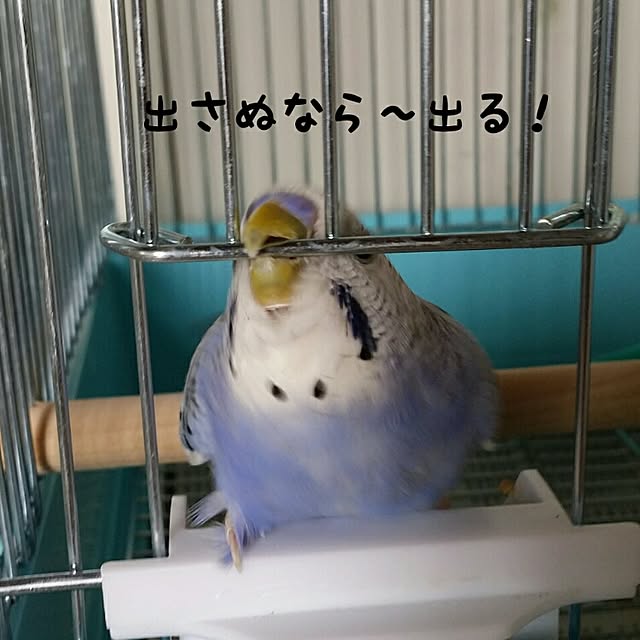karinさんの実例写真