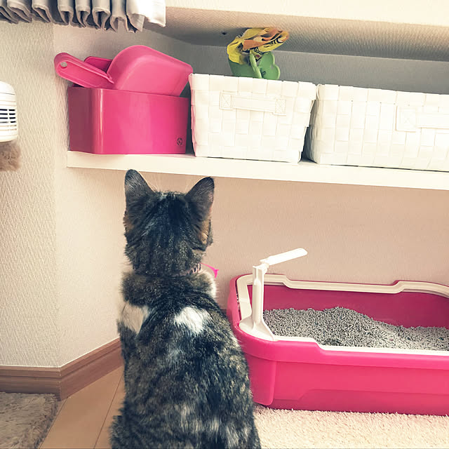 nnmmさんの実例写真
