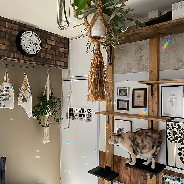 momijiさんの実例写真