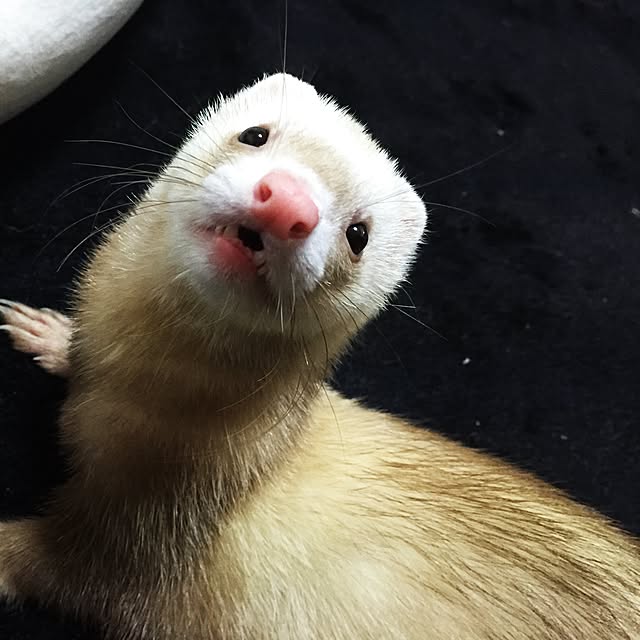 Omiさんの実例写真