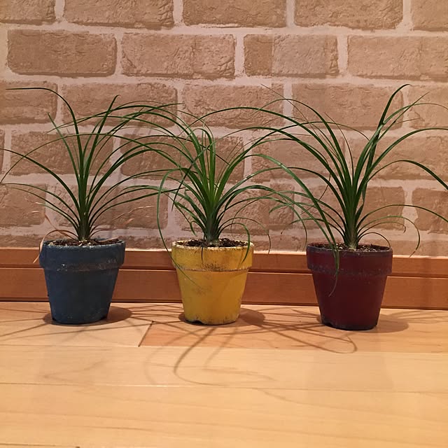 skさんの実例写真