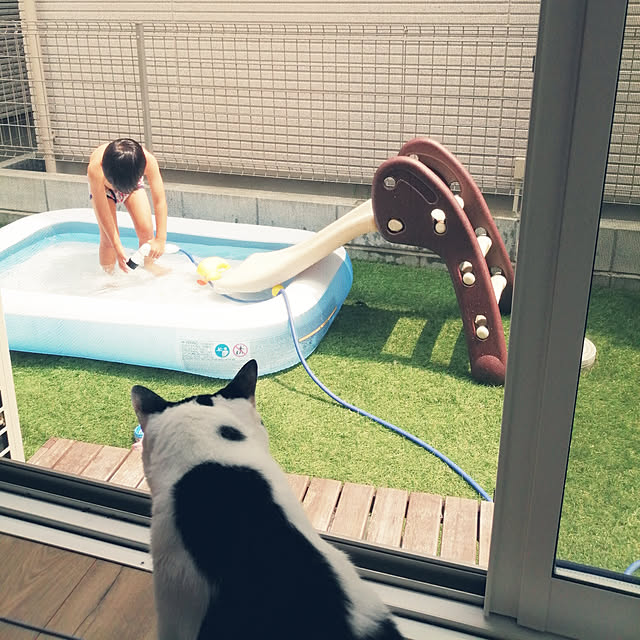 nekoさんの実例写真