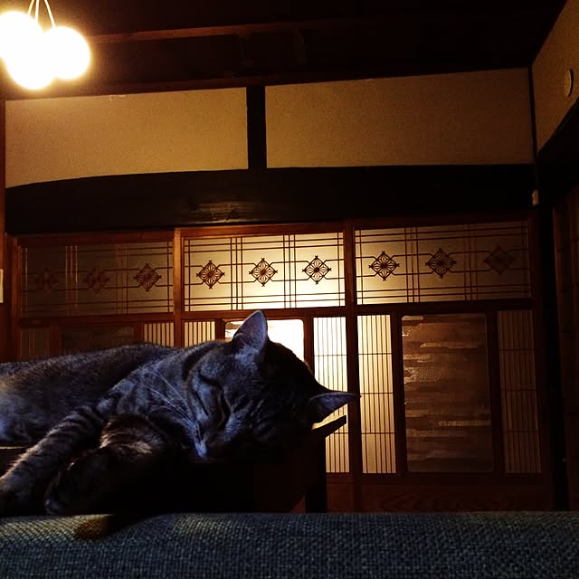 hazyさんの実例写真