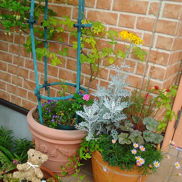 satochiさんの実例写真