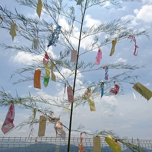 memimoさんの実例写真