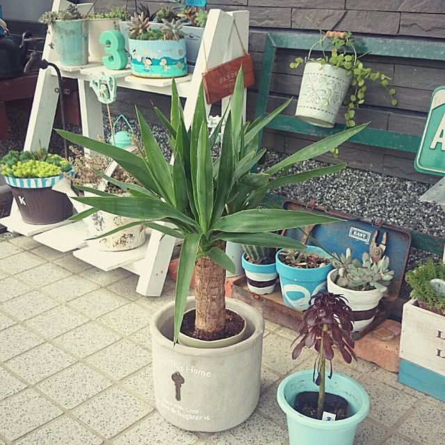 koppeさんの実例写真