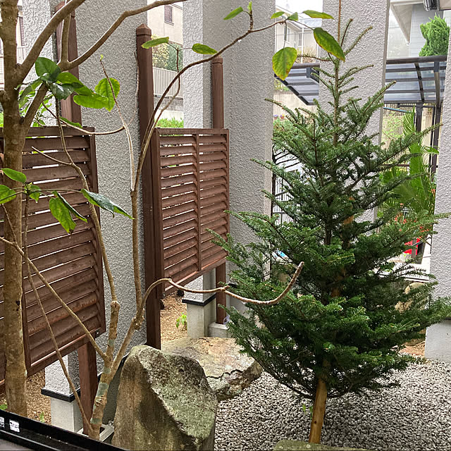cindyhewittさんの実例写真