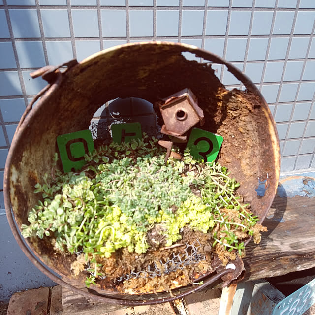 haxtusi301さんの実例写真