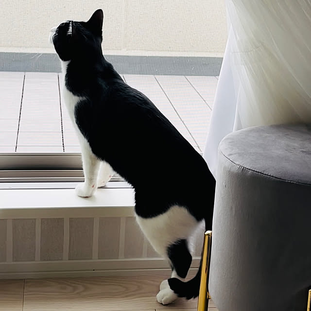 Ayuさんの実例写真