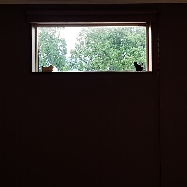 shimaaadsさんの実例写真