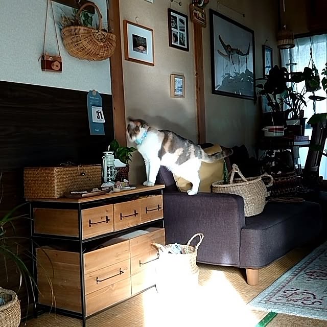 fukuさんの実例写真