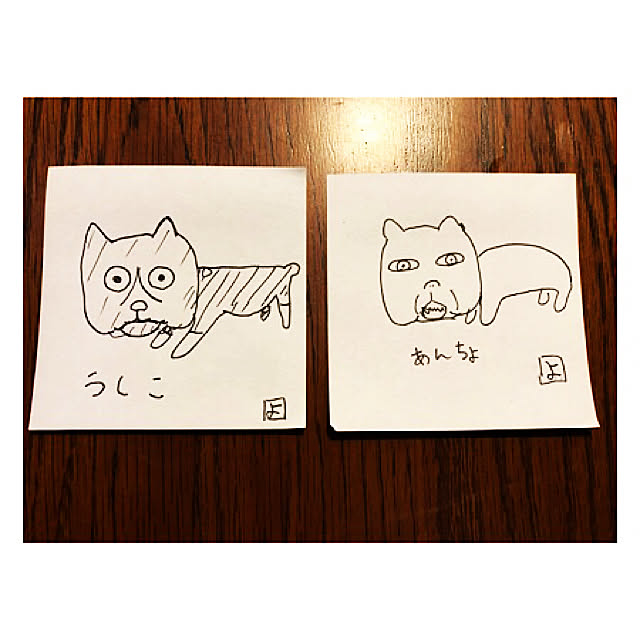 pecoさんの実例写真