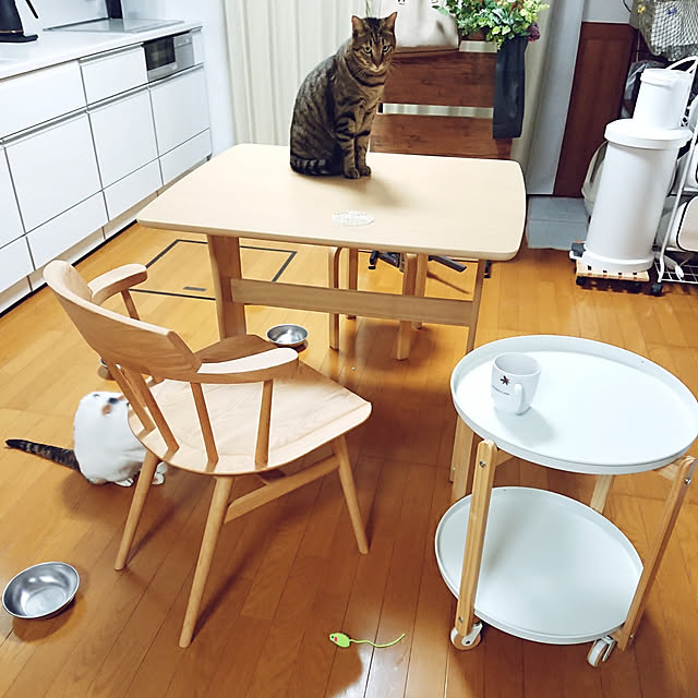 nachiさんの実例写真
