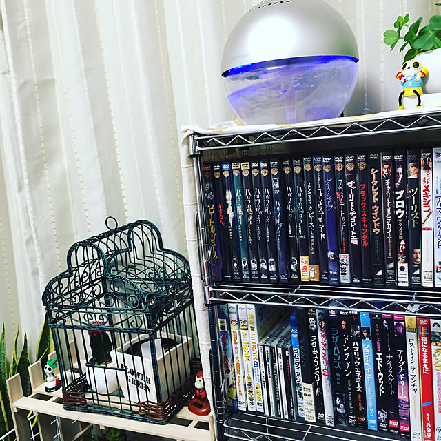 部屋全体/DIY/ダイソー/観葉植物/雑貨...などのインテリア実例 - 2019-01-18 07:31:59