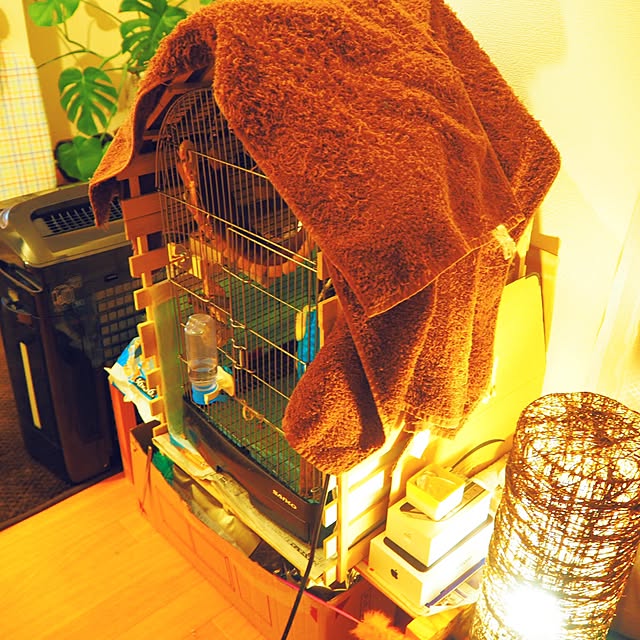 yutarou58さんの実例写真