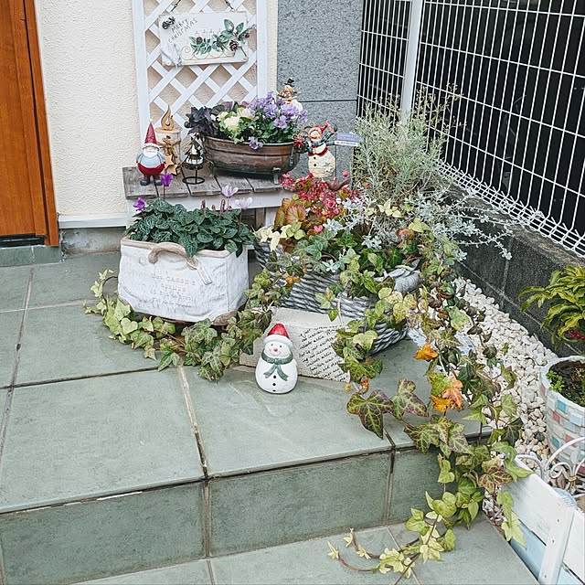 purpureさんの実例写真