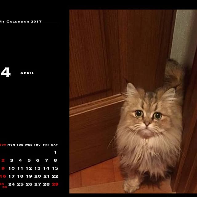 butachanさんの実例写真