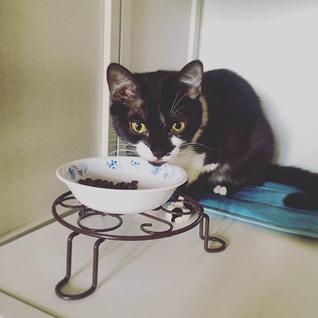 kitさんの実例写真