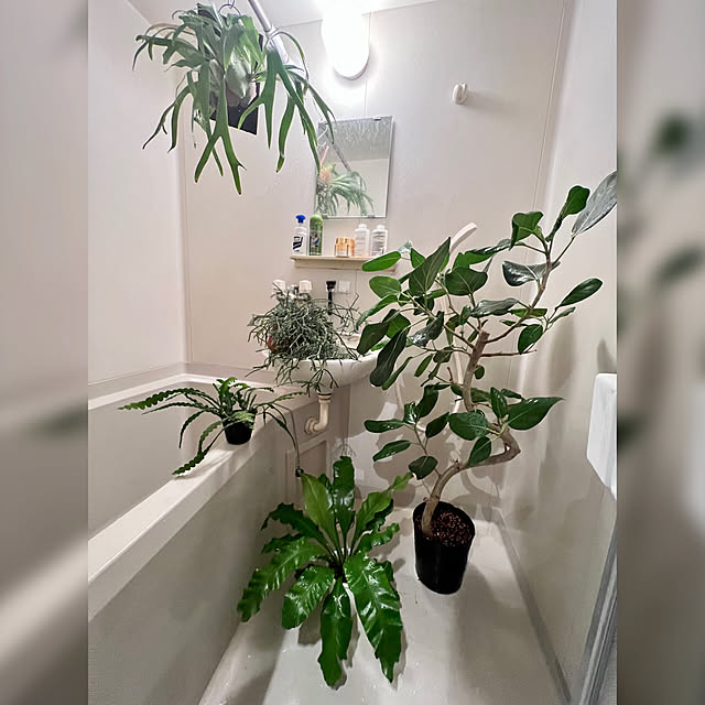 hitori_gurashi_さんの実例写真