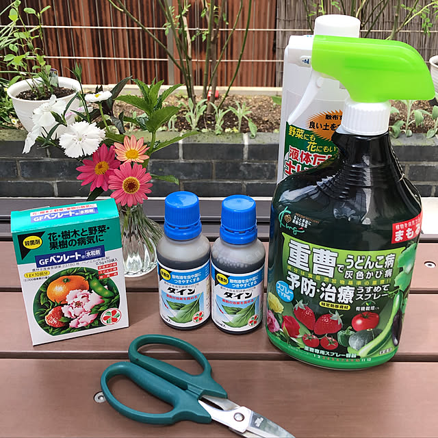 ayanyanさんの実例写真
