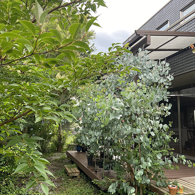 kuuuuさんの実例写真