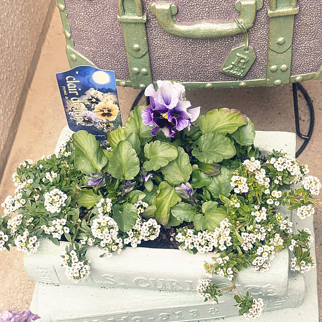 cocoさんの部屋