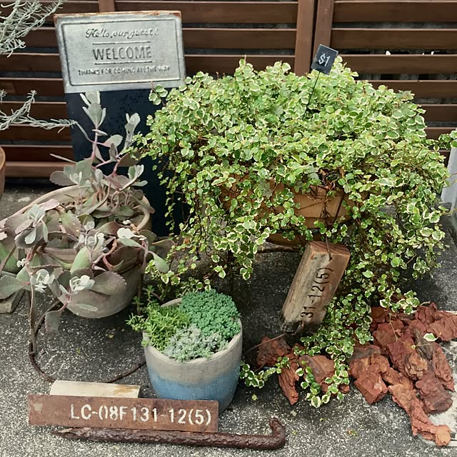 bibianさんの実例写真