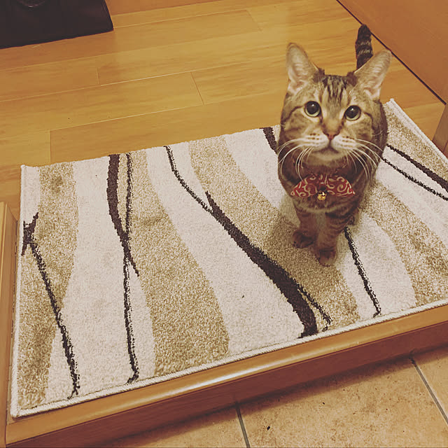 kazukiさんの実例写真