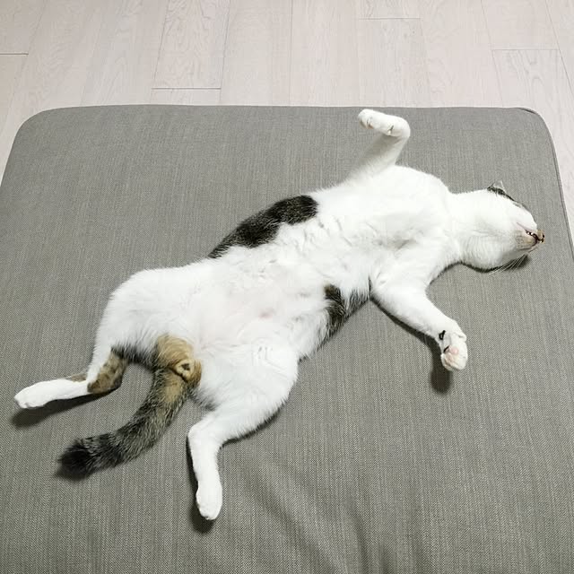 yuchiさんの実例写真