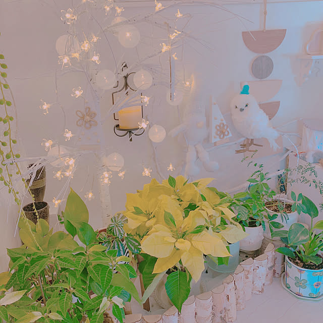 moonさんの部屋