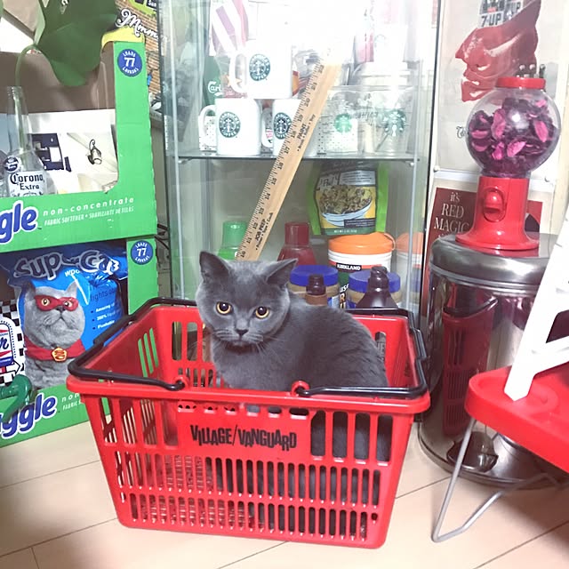 Calさんの実例写真