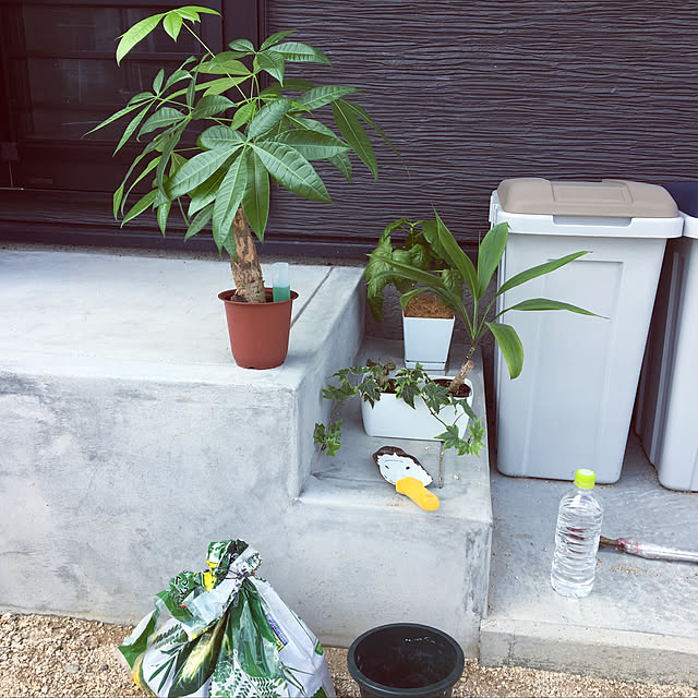 seiさんの実例写真