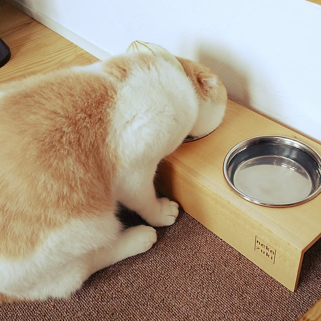 misakiさんの実例写真