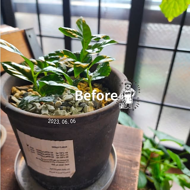 CYNOSさんの部屋