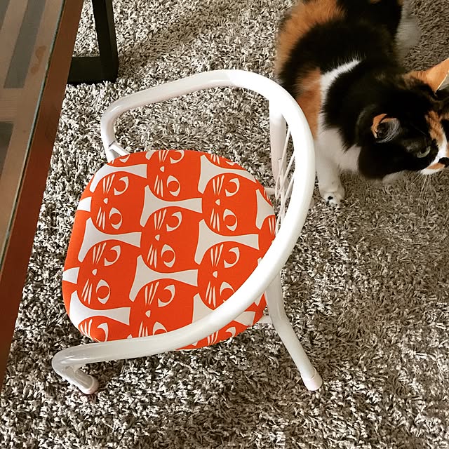 tawashimarukoさんの実例写真