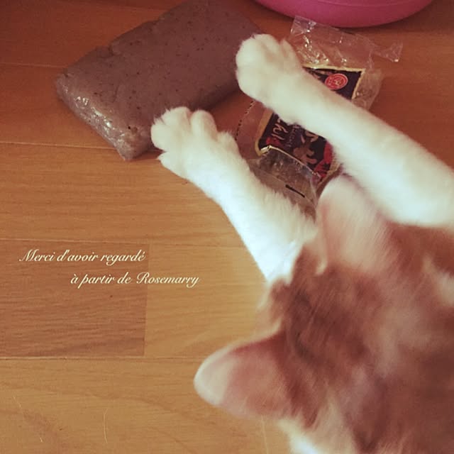 maria.rさんの実例写真